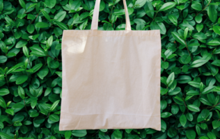 Totes Galore: Our Top 5 Favorite Tote Bags Image